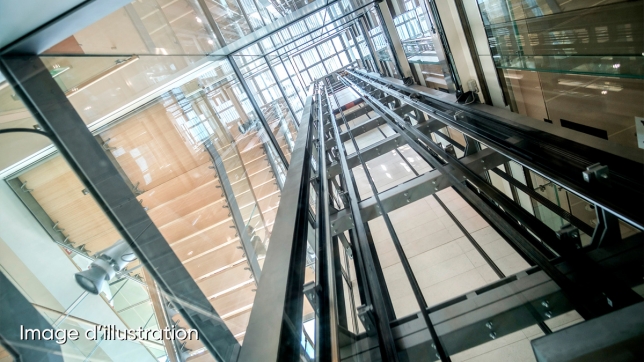 Edition numérique des abonnés