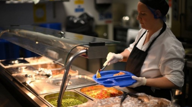 48ca2a87-5c28-4047-923e-5f199aa548d2