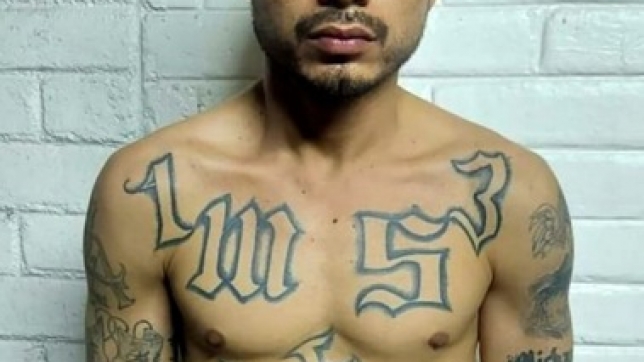 f2bd8342-0467-42e0-8b6a-76d777766bbb