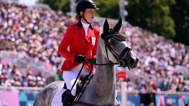 257aff2a-11e1-480c-8cea-da513832ccb9