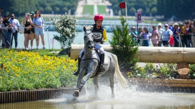 310fb4d1-9a93-4d32-9896-126cbb2b9b2b