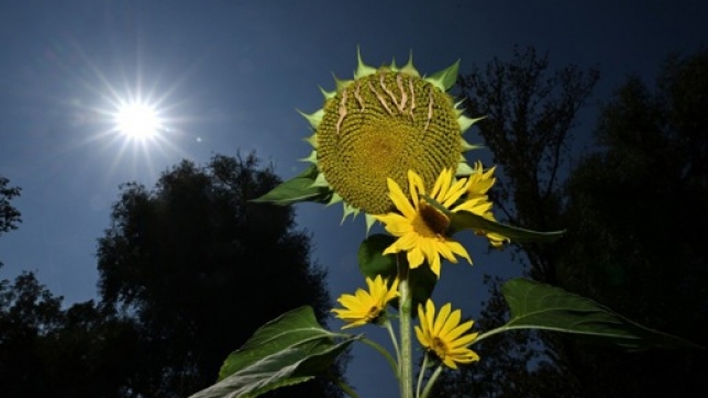 20f3f51e-fc31-44d2-acd0-8e09d16540fa