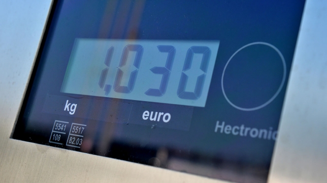 Edition numérique des abonnés