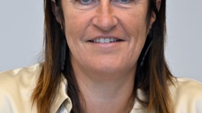 0ce6ea95-b10d-4d1e-ba0c-d06cf91e3114