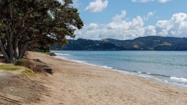 5c175c20-2e3e-4877-9092-13047602bed1