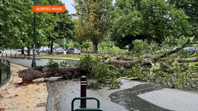 Edition numérique des abonnés