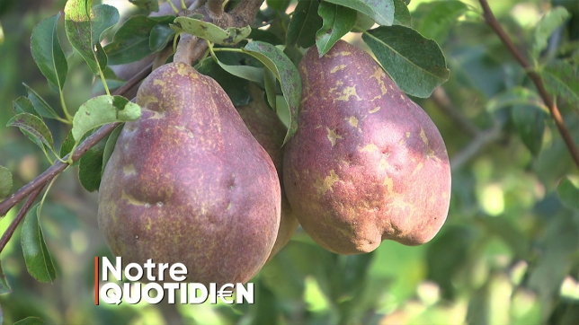 Edition numérique des abonnés