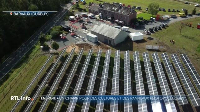 Inauguration du tout premier champ agrivoltaïque de wallonie à Barvaux