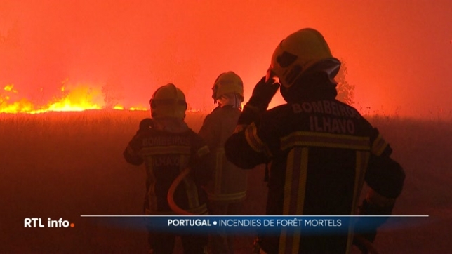 Incendies au Portugal: trois pompiers sont morts hier dans le nord du pays