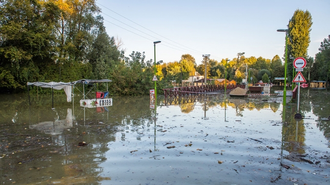 Edition numérique des abonnés