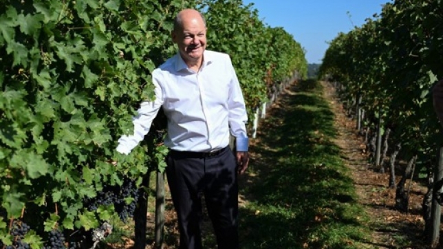 90e385e7-d65b-4c2a-a989-a9b4af042940