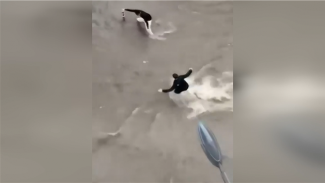 Inondations impressionnantes à Cannes et Antibes: 26 millimètres de pluie sont tombés en une heure