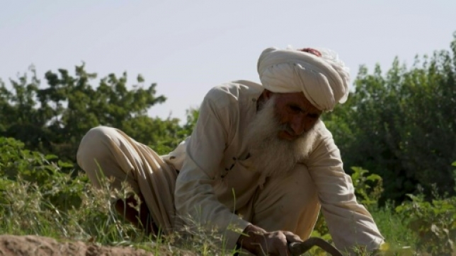 0e5b06f2aaf88196209871914e32e3a34f95ac44