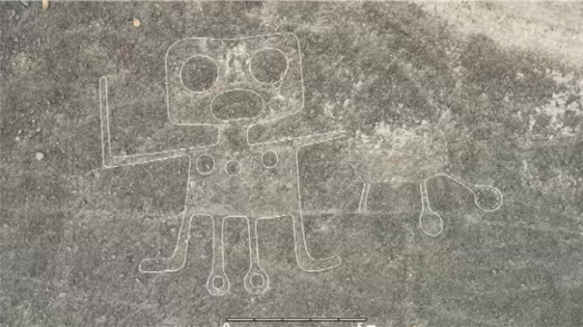 Plus de 300 nouveaux géoglyphes de Nazca découverts grâce à l'IA