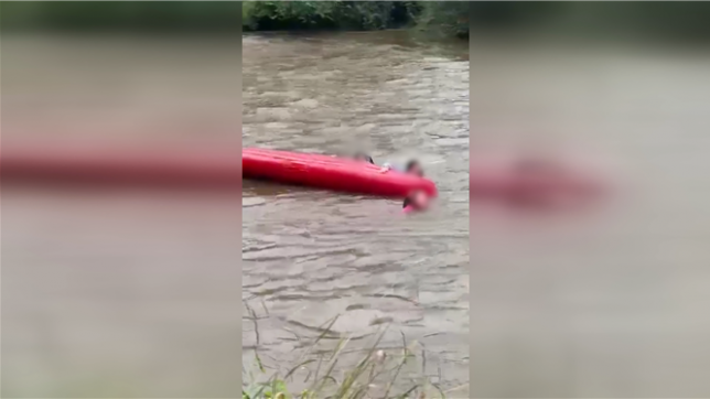 De jeunes kayakistes se retrouvent en difficulté dans la Lesse