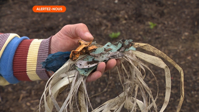 Edition numérique des abonnés