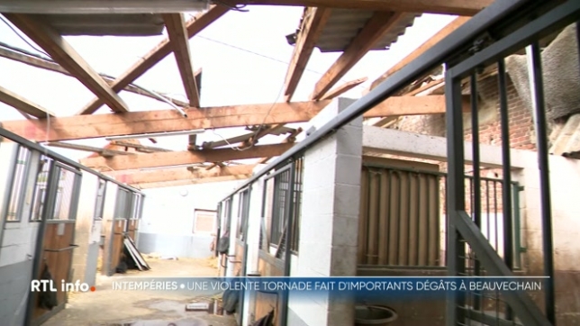 Une mini-tornade a dévasté le quartier des Burettes à Beauvechain