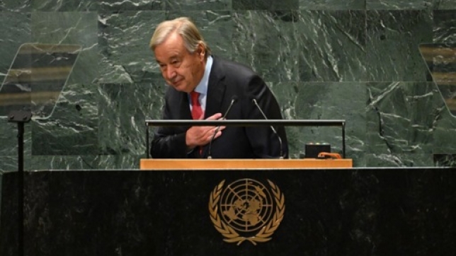 bd7f7182-2738-4efe-94b8-33004ab9ecd4