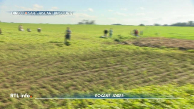 Un producteur propose de venir glaner des haricots dans un de ses champs