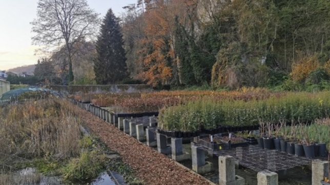 f2945fb7-c78f-46e2-924a-26dec9455806