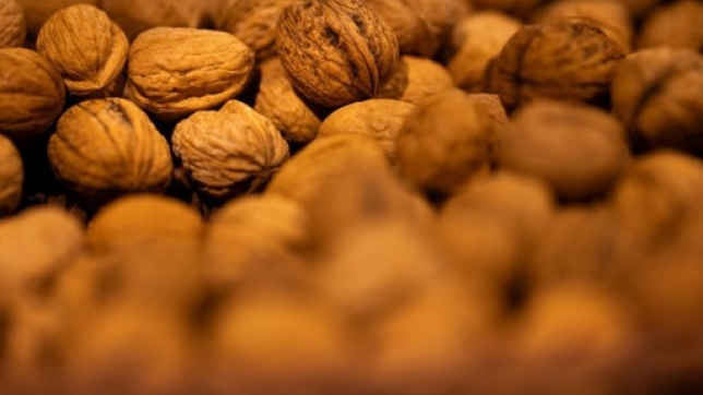 b782909c-b260-4f19-920b-b8e51f7a5327