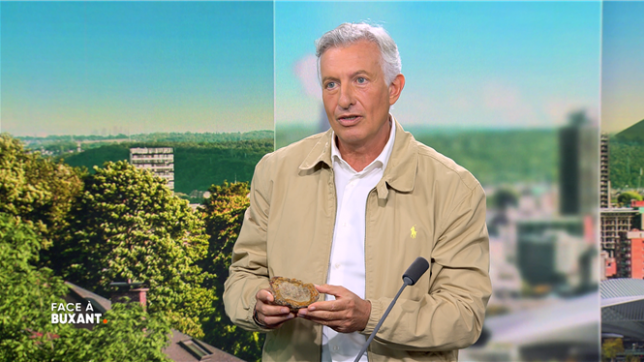 C'est coulé dans le bronze de l'histoire: Eric Domb, directeur de Pairi Daiza, ramène un excrément de dinosaure