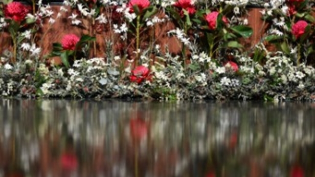 d6c1f475-3b91-406b-a0e4-a2a39449a45c