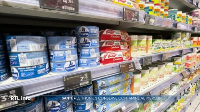 Le thon en boîte, largement contaminé au mercure ?