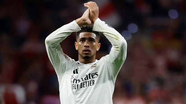 belgaimage-101648033_copy