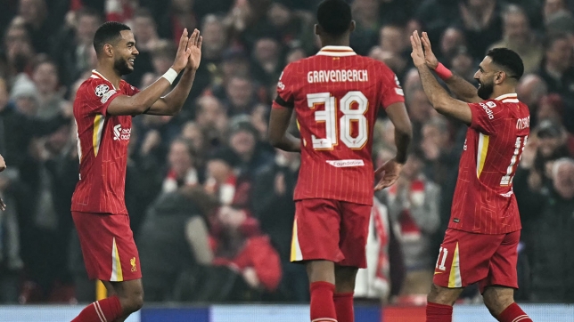 belgaimage-104672743_copie