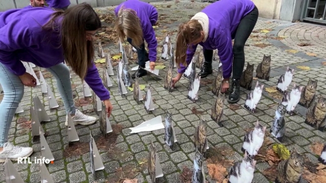 L'association de protection des animaux GAIA a déposé 700 figurines de chats en carton devant le siège du gouvernement wallon à Namur. Le but était de dénoncer la non-application de la loi qui oblige la stérilisation des chats domestiques chez les particuliers.