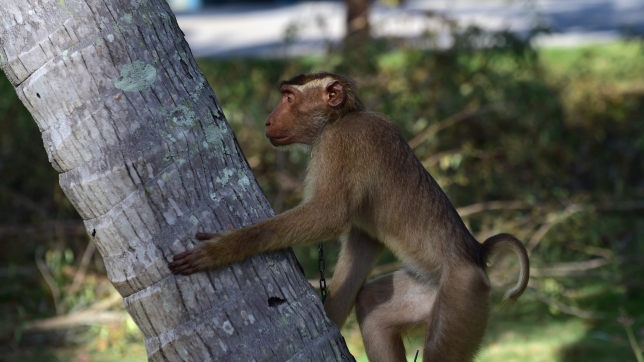 belgaimage-102850233