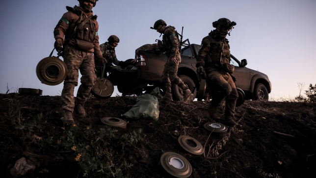 belgaimage-104287099