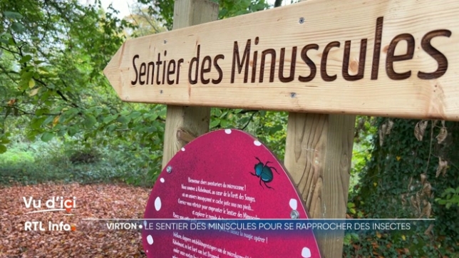 Le sentier des Minuscules, à Robelmont, vient d'être inauguré. Le parcours familial offre, sur près de 3 km en forêt, des sculptures imposantes et des insectes géants réalisés par des artistes locaux. Le visiteur se sent miniaturisé.