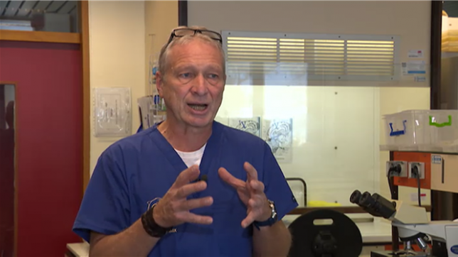 Le militant écologiste et défenseur des baleines Paul Watson croupit encore en prison au Groenland. Le Japon réclame son extradition depuis 2012, l'accusant d’obstruction à une activité commerciale, mais aussi d’être co-responsable de dommages et blessures lors de heurts avec un baleinier japonais. Mais au fond, pourquoi les baleines sont-elles si importantes à préserver ?