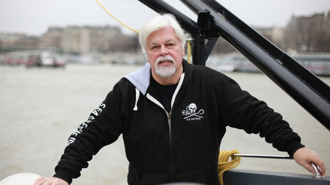 paul watson