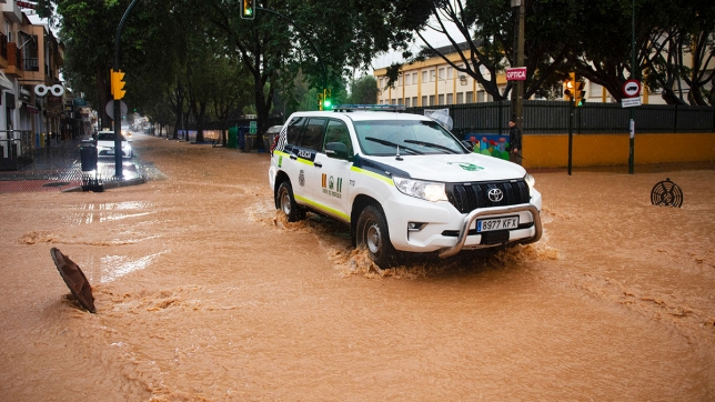 belgaimage-105320783