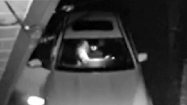 Quatre personnes soupçonnées d'avoir monté une arnaque à l'assurance ont été arrêtées en Californie mercredi, après avoir déclaré qu'un ours avait ravagé leurs voitures de luxe, alors qu'il s'agissait d'un humain déguisé en animal.