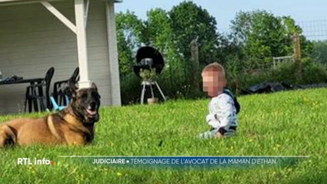 C'était il y a une semaine. Le corps d'un petit garçon prénommé Ethan était retrouvé sans vie à Berloz. Aujourd'hui, sa maman, qui est soupçonnée de l'avoir étouffé, dit toujours ne pas comprendre ce qui s'est passé. Son avocat s'est confié au micro de Vincent Jamoulle.