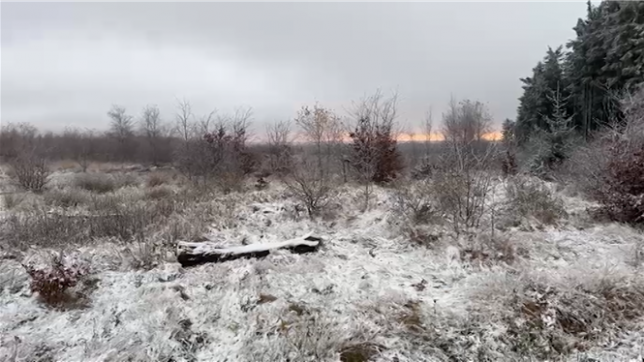 Une fine couche de neige est tombée près du signal de Botrange ce mercredi matin. Elle pourrait arriver sur d'autres régions aujourd'hui.