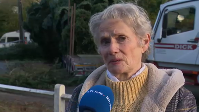 Anita a donné son magnifique sapin d'une vingtaine de mètres de haut pour qu'il vienne prendre place sur la Grand-Place de Bruxelles.