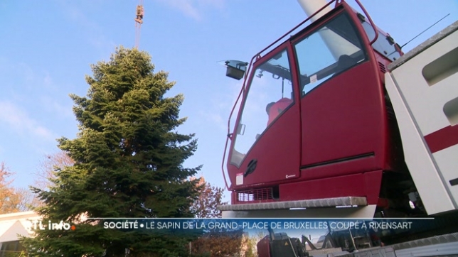 La Grand'place de Bruxelles va prendre des airs de Noël dès demain. Un sapin de Noël haut de 20 mètres y sera installé. Il a été coupé ce matin à Rixensart, dans le Brabant Wallon, chez des particuliers qui l'avaient planté eux-mêmes il y a 32 ans.