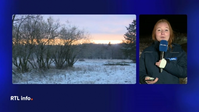 Roxane Josse nous dit tout sur les premières neiges tombées sur le plateau des Hautes-Fagnes. De nouvelles averses hivernales sont attendues, et l'IRM a émis une alerte au verglas. Mais cette neige tiendra-t-elle jusqu'au weekend ?