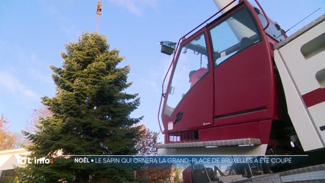 La Grand'place de Bruxelles va prendre des airs de Noël dès demain. Un sapin de Noël haut de 20 mètres y sera installé. Il a été coupé ce matin à Rixensart, dans le Brabant Wallon, chez des particuliers qui l'avaient planté eux-mêmes il y a 32 ans.