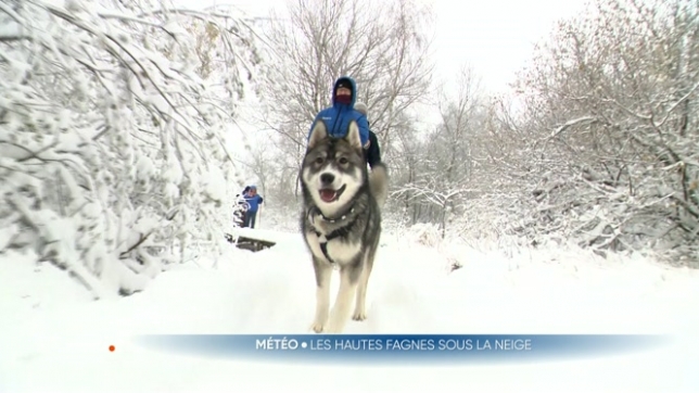 Une belle couche de neige recouvrait ce samedi les sommets de la Belgique, dans les Hautes-Fagnes. Malgré les nuages bas, le brouillard parfois givrant, et des températures fraîches, de nombreux Belges avaient choisi de s'y promener et d'y prendre un bon bol d'air.