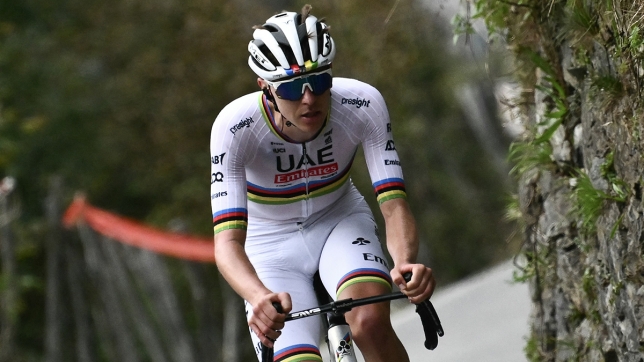 belgaimage-102382449_copie