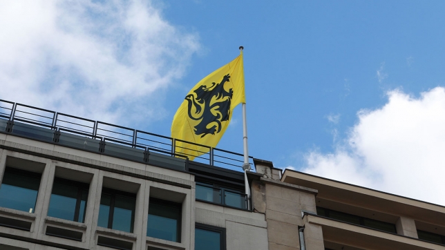 Les Bruxellois veulent-ils de la N-VA dans leur gouvernement ? Voici le score du parti nationaliste 