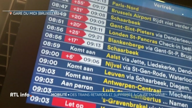 La circulation ferroviaire a été perturbée en raison des conditions hivernales, il y a eu des retards et des suppressions. Le système d'information sur les perturbations et travaux sur le réseau était par ailleurs temporairement indisponible sur l'application et le site internet de la SNCB.