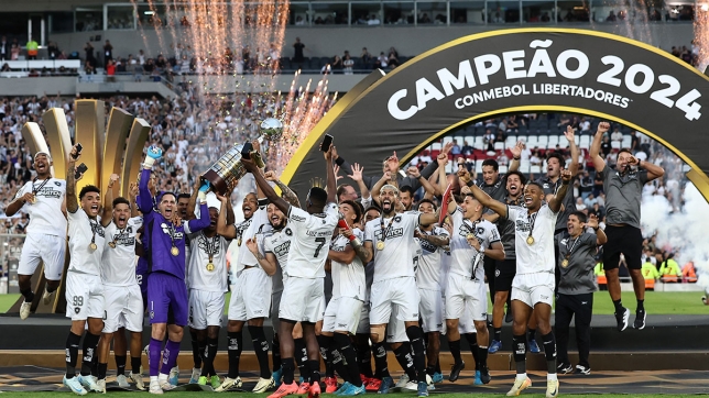 Les joueurs de Botafogo 