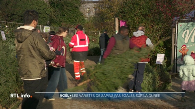La raison : l'inflation et les conditions météorologiques. Ce qui n'empêche pas de nombreux Belges à se ruer dans les pépinières et les commerces spécialisés. Mais à ce prix là, autant bien le choisir, surtout si on veut qu'il tienne au minimum jusqu'au 25 décembre prochain.